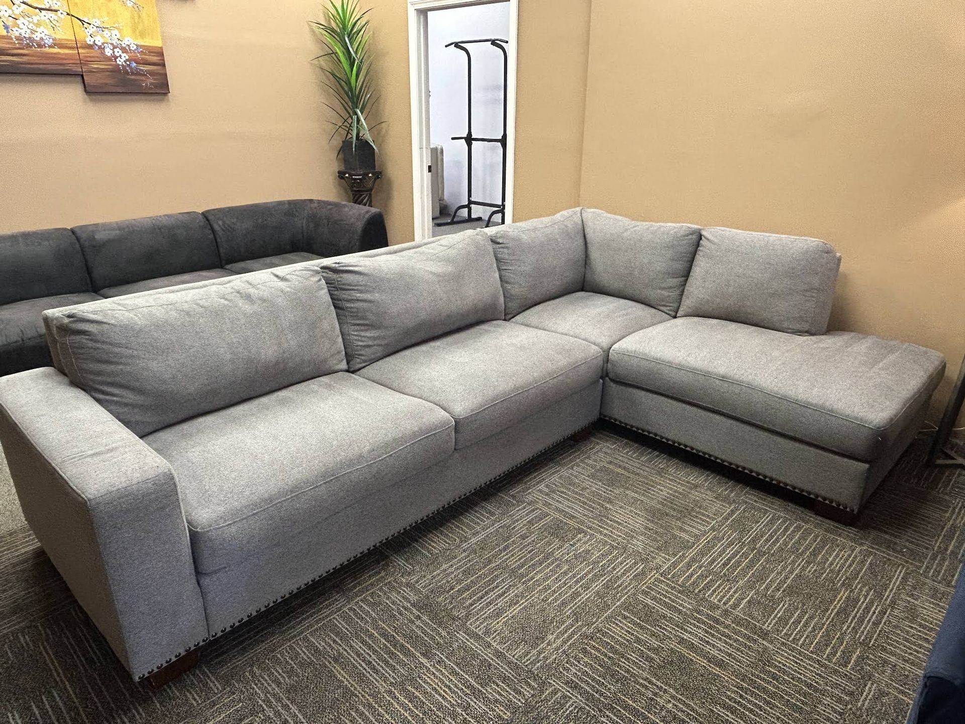 Couch Cleaning